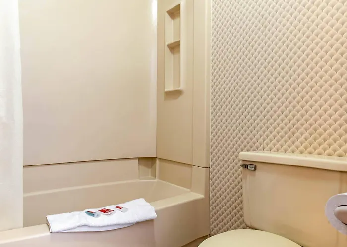 Econo Lodge Holland - Toledo
